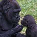 mother and child