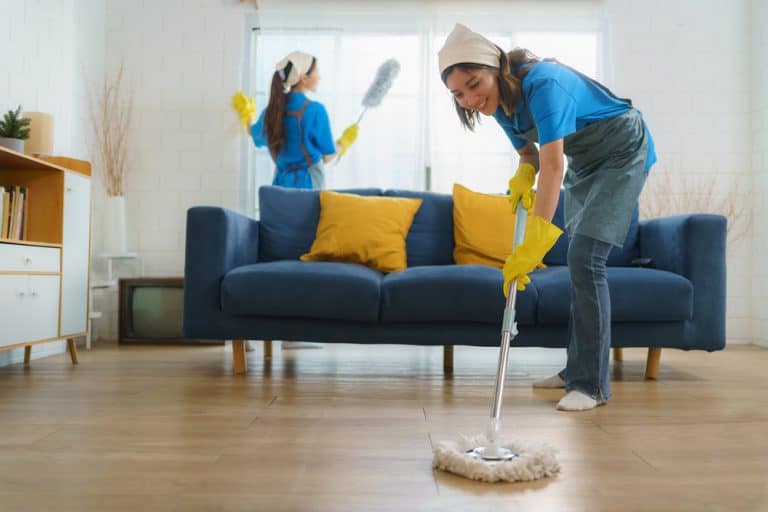 Buy A Cleaning Franchise This Year — The Franchise King®