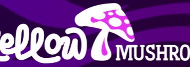 mellow mushroom franchise growth 2026