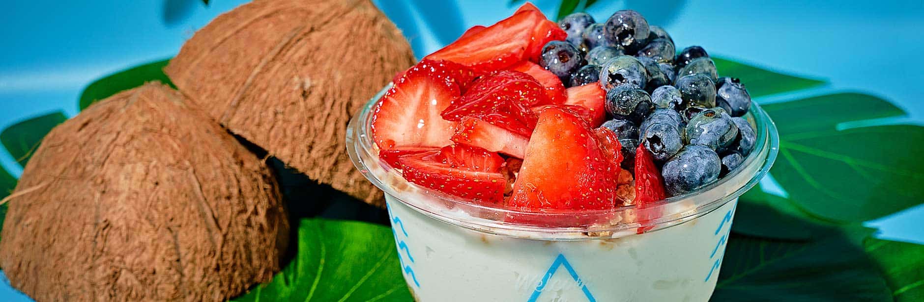 Playa Bowls Showing Strong Franchise Growth with 200 New Franchise Agreements Signed