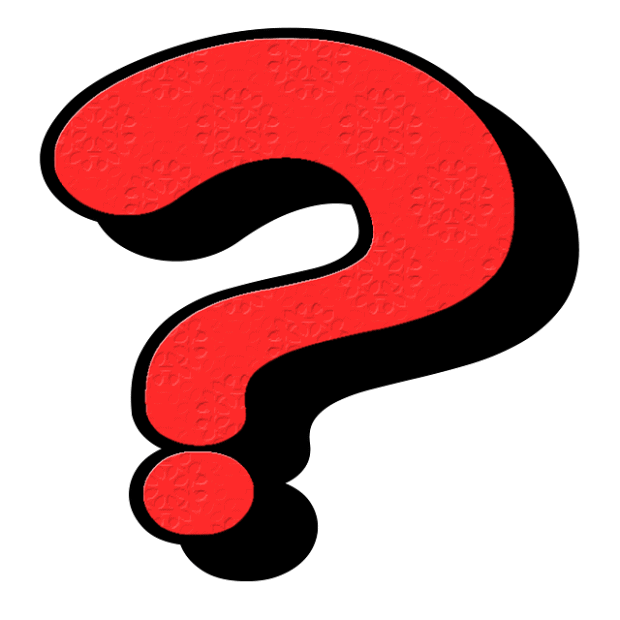 franchise information questions