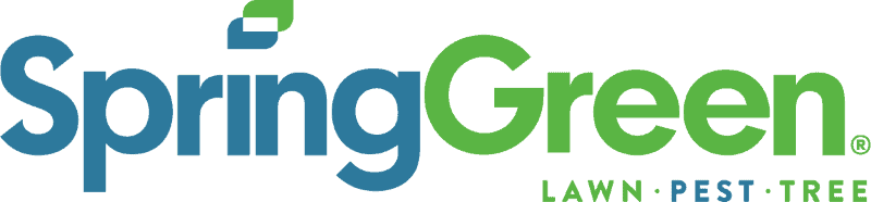 A SpringGreen Lawn Care Franchise Family Succession Story Every Franchise Buyer Should Study